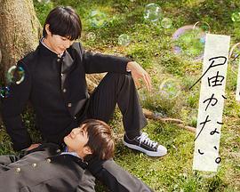 金属制品网站seo优化哪家专业